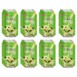 Matcha Flavour 24 Cans 330ml 