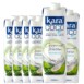Kara coconut 1 Liter Pack of 6 